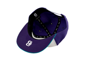 Grape Grizzlies Snapbacks White Grapes IN STOCK