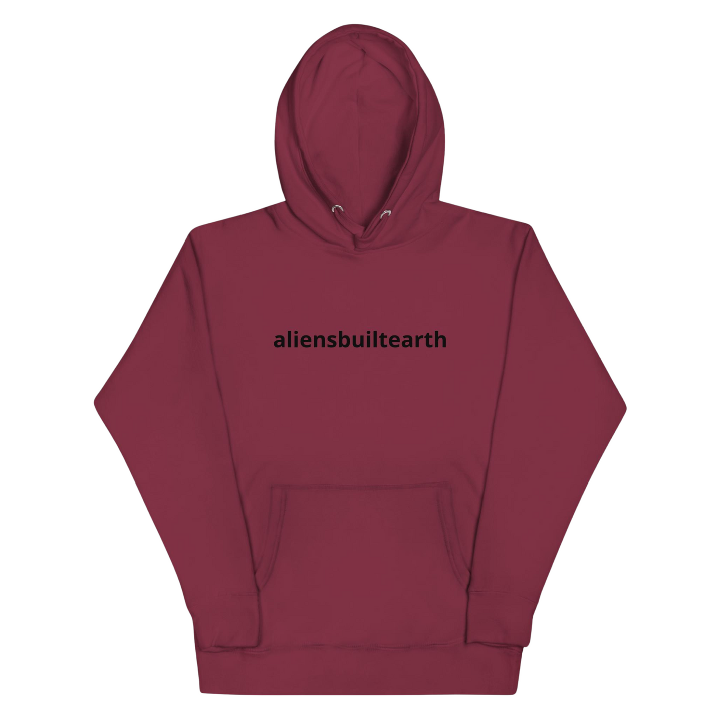 Aliens Built Earth Signature Unisex Hoodie