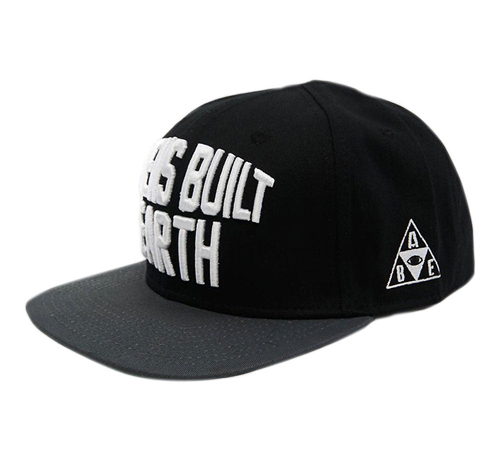 Aliens Built Earth | Snapbacks