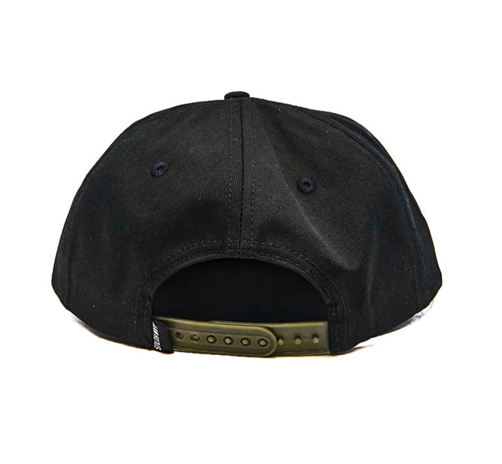 STLTH Plane snapback