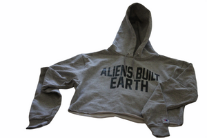 Aliens Built Earth X Champion Womens Cropped Hoodie Ships in 2 weeks